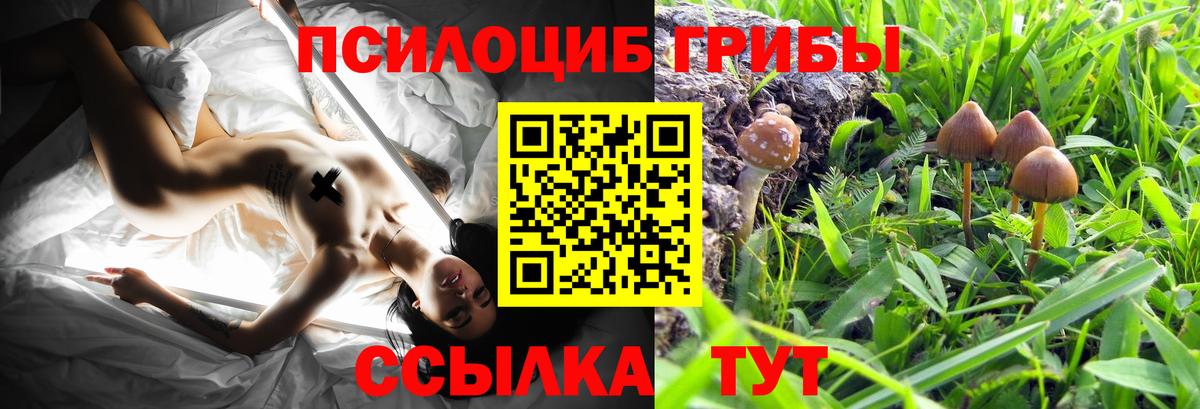 Псилоцибиновые грибы мухоморы Ликино-Дулёво